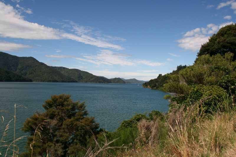 Nieuw-Zeeland 2011 - 0944